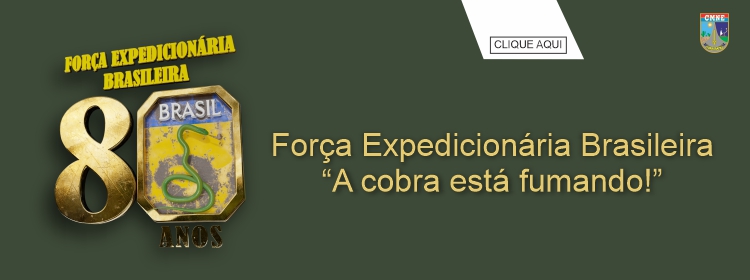 Força Expedicionária Brasileira “A cobra está fumando!”